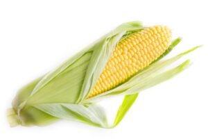 Corn May Boost EV Battery Performance